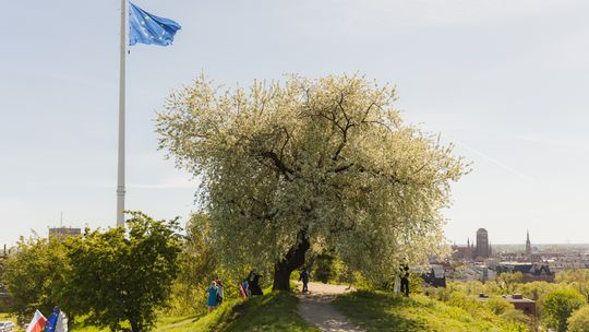 Dzień Europy, Gdańsk 2026