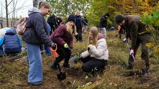 sadzenie lasu z okazji 750-lecia pierwszej wzmianki o Chojnicach
