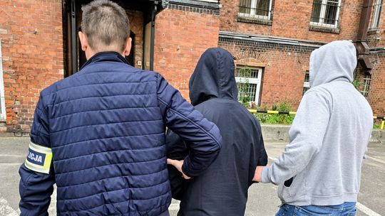 85 kg narkotyków trzymali w mieszkaniu! Dwóch 20-letnich Gdańszczan z zarzutami i aresztem