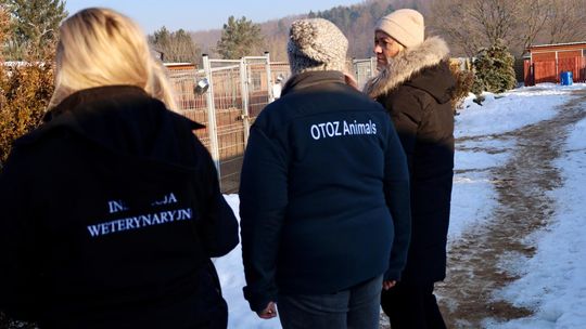 kontrola w Schronisku dla Bezdomnych Zwierząt w Dąbrówce koło Wejherowa