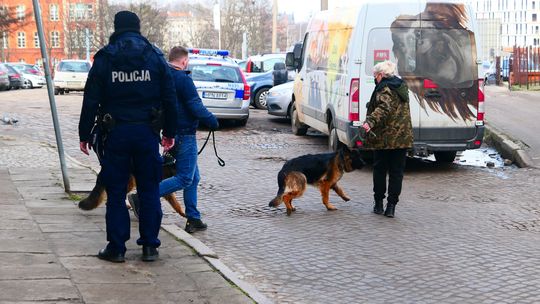 Agresywne psy odebrane właścicielowi z Biskupiej Górki w Gdańsku
