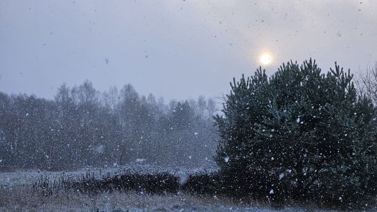 Alerty pogodowe w Pomorskiem. Sypnie śniegiem i powieje