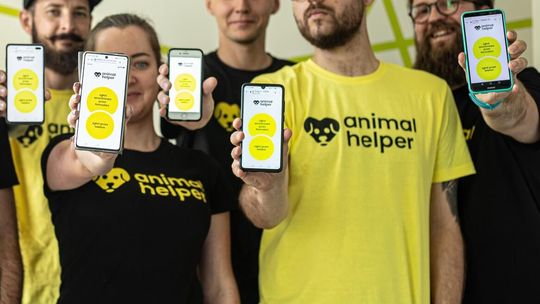 Animal Helper hitem! Liczba zgłoszeń na 112 dla zwierząt cały czas rośnie