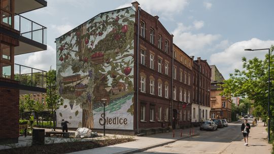 antysmogowy mural przy ul. Malczewskiego w Gdańsku Siedlcach