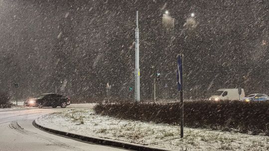 śnieg, śnieżyca, zdjęcie ilustracyjne