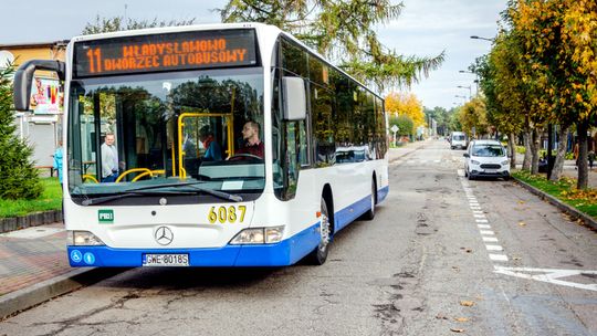 Autobusem „po Władku”, czyli komunikacja publiczna we Władysławowie już działa