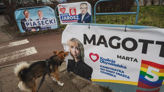 plakaty wyborcze, Gdańsk 2024