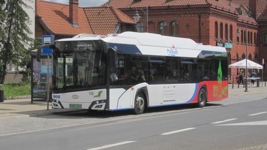 Bezpłatna komunikacja miejska w Malborku kosztuje coraz drożej