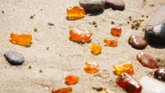 Bursztynowa gorączka na Mierzei Wiślanej! Ceny rosną, turyści ruszyli na plaże