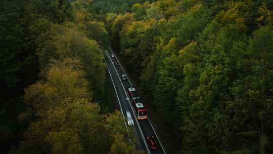 Spacerowa, Gdańsk, buspas Spacerowa