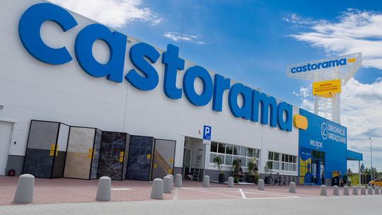 Castorama uruchomiła wypożyczalnię choinek. Po świętach wrócą do lasu