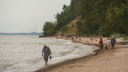 plaża, Gdynia-Redłowo 2024