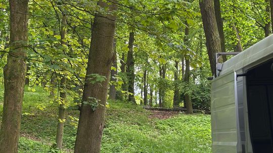 Park Miejski w Tczewie przejdzie metamorfozę. Przetarg do końca lipca