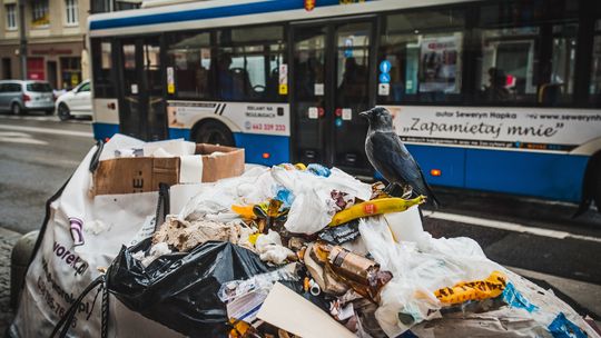 Dobra wiadomość dla mieszkańców. Gdynia obniży opłatę za śmieci