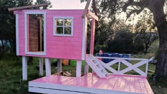 Tczew: Ukradł drewniany domek sąsiada, porąbał i spalił w piecu