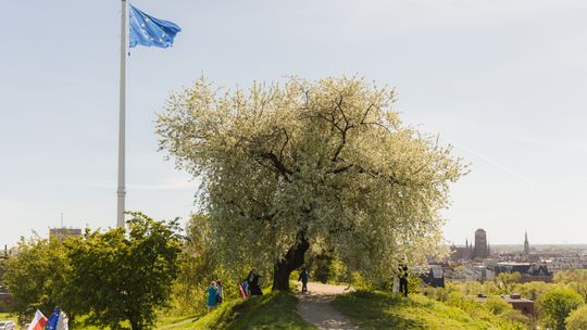 Dzień Europy po raz 40. W Gdańsku na finał Fontanna Neptuna rozbłysła niebiesko-żółtymi barwami