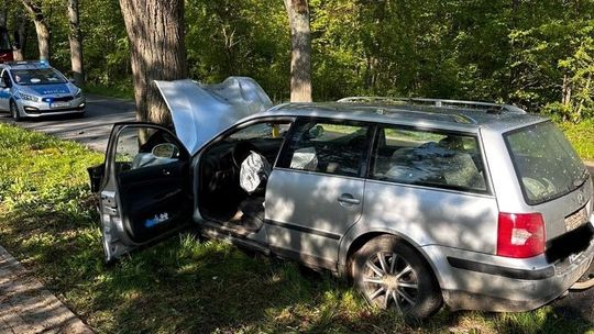 Dzierzgoń: samochód rozbity na drzewie, kierowca zmarł w szpitalu