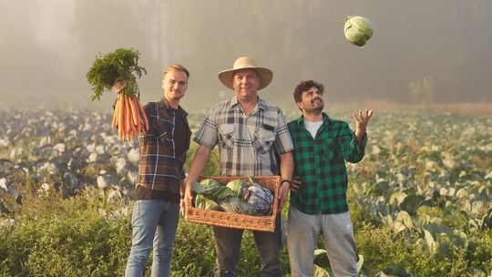 Ekobazar Targ od Rolnika rusza 30 maja. W Chwarznie-Wiczlinie świeże produkty prosto z pól