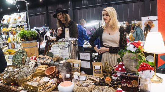 Ezoteryka, medycyna naturalna, targi terrarystyczne i biżuteria w AmberExpo