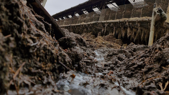 Leźno: Ferma futrzarska skontrolowana przez Powiatowy Inspektorat Weterynarii