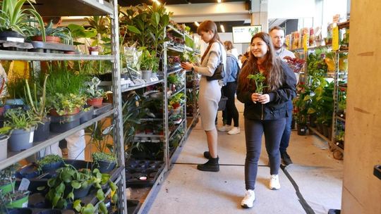 Festiwal Roślin 2026, Gdańsk