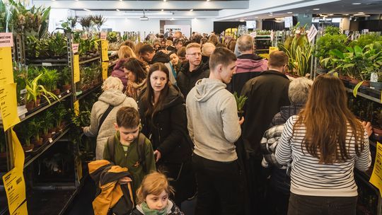 Festiwal Roślin, Gdańsk