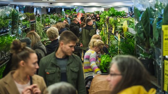 Festiwal Roślin, Polsat Plus Arena Gdańsk