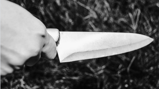 Zabiła syna, potem popełniła samobójstwo. Finał okrutnej zbrodni pod Słupskiem