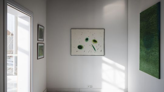 „The Green/Zieleń”, wystawa, Katarzyna Jankowiak