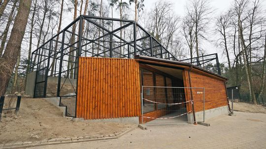 Sępy wracają do Gdańska. Fundacja Orlen finansuje nową wolierę w gdańskim zoo