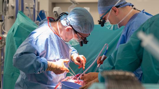 UCK w Gdańsku wykonuje najtrudniejsze transplantacje w Polsce. "To mechanika kwantowa medycyny"