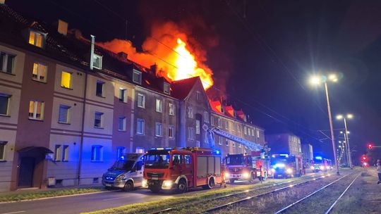 Gdańsk idzie na wojnę ze zbieractwem. Eksmisja jednym z lekarstw na uciążliwych lokatorów?