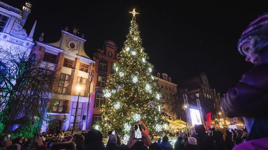 Gdańsk rozbłyśnie na święta! Choinki w 18 dzielnicach i 400 iluminacji