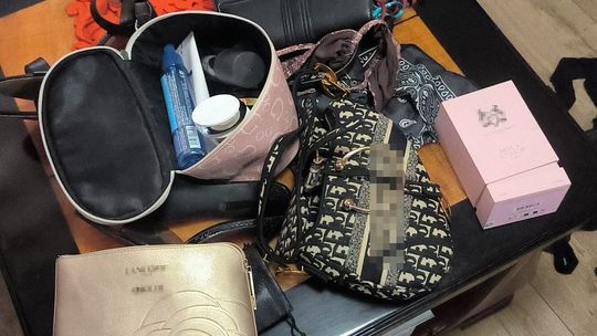 Gdańsk: Ukradli walizkę, wpadli przez lokalizator