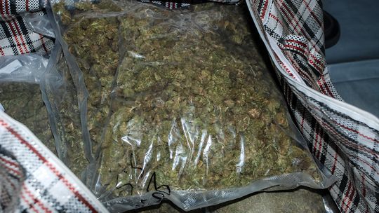 Przemycili do Polski dwie tony marihuany. "Zeszyt" zasiądzie na ławie oskarżonych