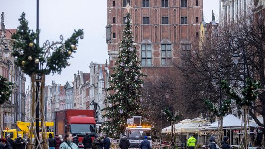 choinka, Długi Targ, Gdańsk 2024