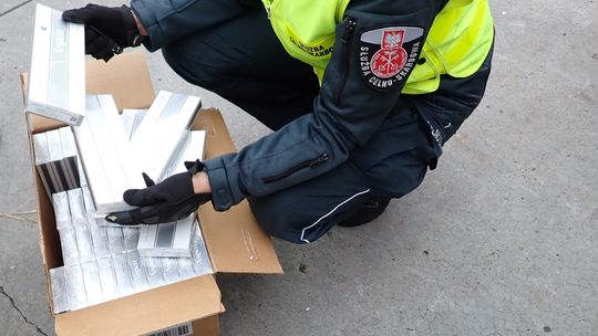 Rekordowy przemyt papierosów udaremniony w Gdyni. Miały trafić do Ukrainy