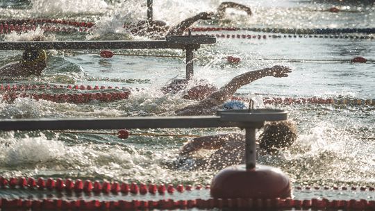 Gdynia Winter Swimming Cup. W zimnej wodzie rywalizuje 450 pływaków