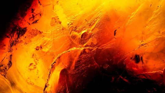 Georadar odkrył anomalię w Dziemianach. Czy to schron z Bursztynową Komnatą?