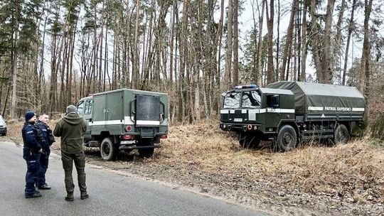 dziki wykopały niewybuchy, Bięcino