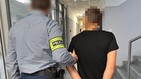 Gniewino: Wrzucił kota do szamba. Sprawca zatrzymany przez policję