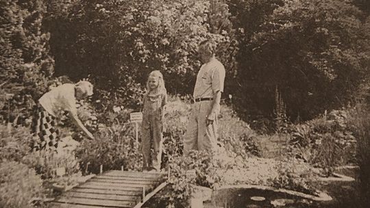 Gołubieński Ogród Botaniczny – jedyny taki na Pomorzu. Pasja trzech pokoleń Butowskich