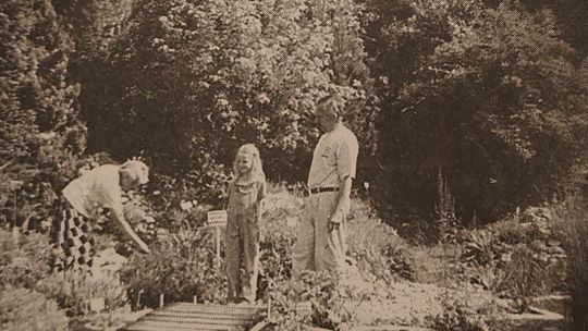 Gołubieński Ogród Botaniczny - jedyny taki na Pomorzu. Pasja trzech pokoleń Butowskich