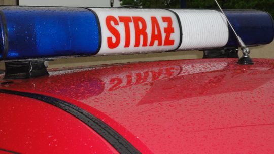 „Green Lights”, czyli zielone światło dla strażaków Ochotniczych Straży Pożarnych. Czy projekt wejdzie w życie?