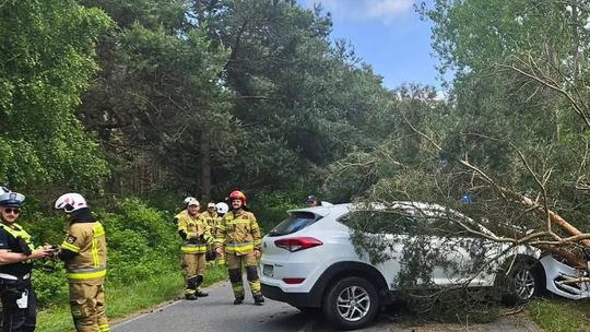Groźny wypadek na Półwyspie Helskim: samochód uderzył w drzewo, 4 osoby ranne