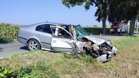 Groźny wypadek na Powiślu. Samochód uderzył w drzewo