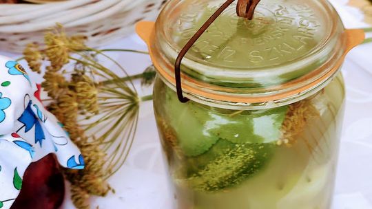 Przepisy na ogórki kiszone. Tak kiedyś robiły to gospodynie! Z wódką, z gorczycą, w butelkach...