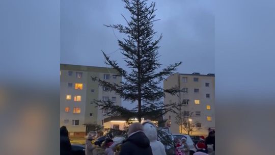 Hit Internetu z Pomorza! Choinka z Siemirowic stała się viralem na TikToku choinka w Siemirowicach 2025