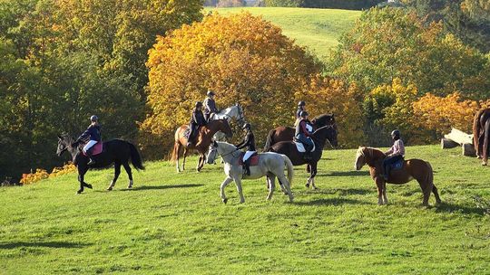 Hubertus 2024 w Stadninie Koni Kolano