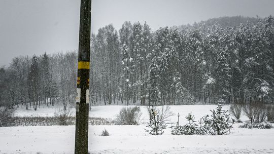 zima na Kaszubach, 2026